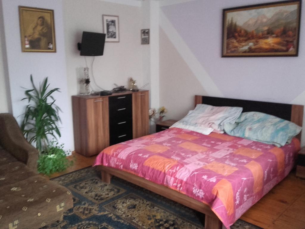 Zlota Gorka Homestay Polanczyk